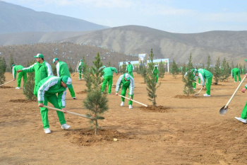 В Туркменистане прошла всенародная озеленительная акция