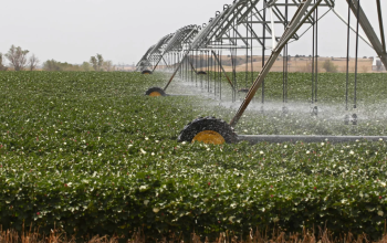 New Water Code Approved in Uzbekistan