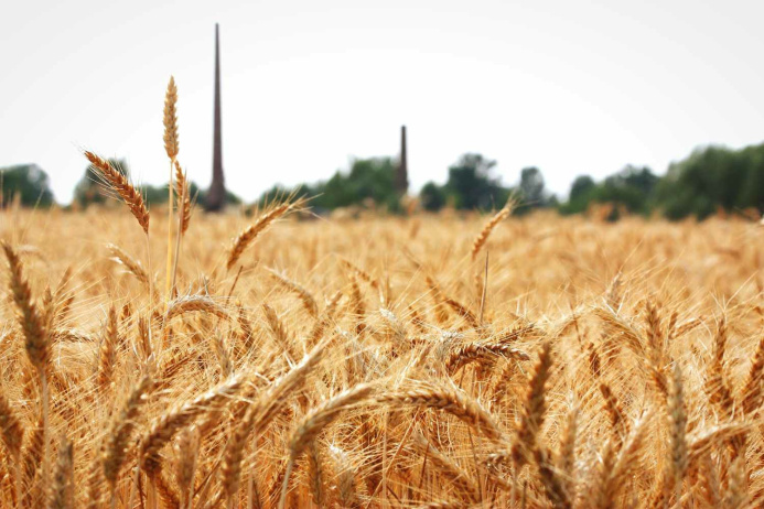  In the Balkan region, modern machinery is used for processing farmland