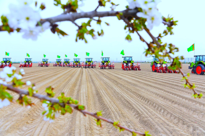  Cotton growers of Turkmenistan to start sowing on March 26