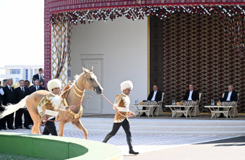 Aliyev was presented with an Akhal-Teke horse, Mirziyoyev with a camel with a calf