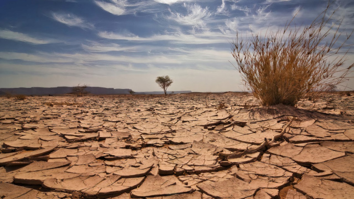  Leaders, experts from around the world will come together to discuss the fight against desertification and drought