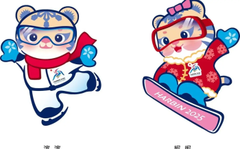 Tickets for the competitions of the IX Winter Asian Games in Harbin will go on sale on January 11