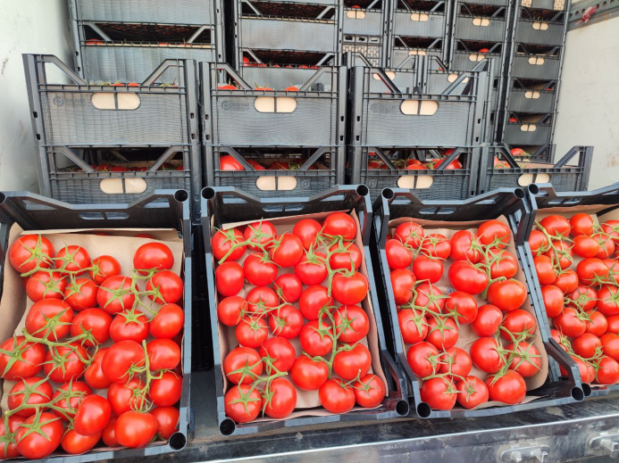  EastFruit: Turkmenistan continues expansion in the tomato market - now in Tajikistan