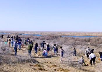 Экологический воскресник: «Большая» уборка на берегу озера завершилась посадкой саксаула