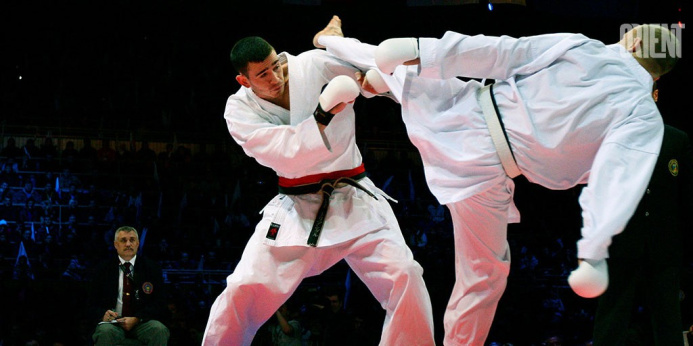  Iranian Athlete Appointed Head Coach of Russian Karate Team