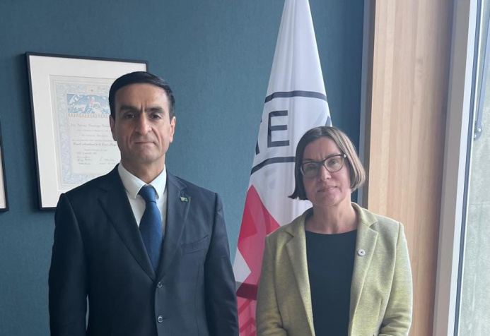  В Женеве обсудили сотрудничество Туркменистана и Международного комитета Красного Креста