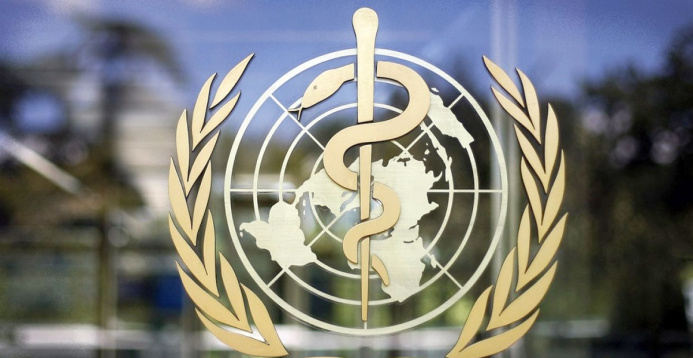  WHO experts arrived in Tajikistan to help to fight COVID-19